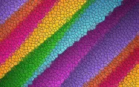 Puzzle Rainbow mosaic
