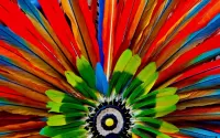 Quebra-cabeça rainbow feathers