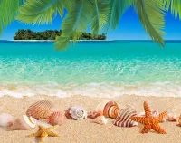 Слагалица Seashells on the sand