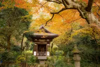 Пазл Ранняя осень в Киото