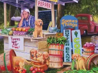Jigsaw Puzzle Puppies for free