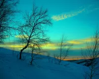 Слагалица Dawn of winter