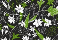 Rompicapo Floral pattern