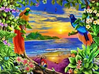 Bulmaca Paradise birds