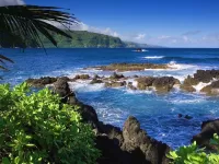 Bulmaca Paradise island