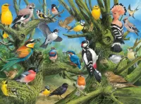 Jigsaw Puzzle Variety of birds