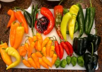 Slagalica Variety in peppers