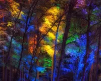 Пазл Разноцветные деревья
