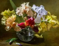 Rompecabezas Colored irises