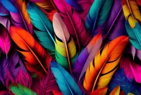 Puzzle colorful feathers