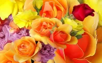 Zagadka Multi colored roses