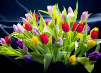 Пазл Разноцветные тюльпаны 