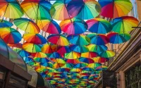 Jigsaw Puzzle Coloured umbrellas