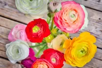 Quebra-cabeça colorful bouquet