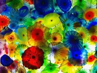Пазл Разноцветные медузы