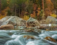 Jigsaw Puzzle River and autumn forest