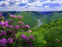 Jigsaw Puzzle River in the valley
