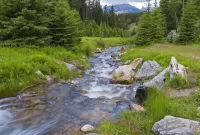 Slagalica River in the forest