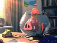 Puzzle Fish-pig