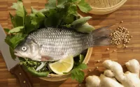 Bulmaca A fish