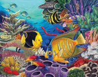 Puzzle Fish and corals