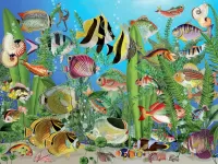 Jigsaw Puzzle Fish and algae