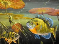 Quebra-cabeça fish under water