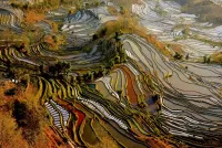 Puzzle Rice Terraces in China