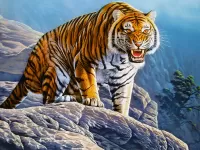 Puzzle snarling tiger