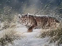 Jigsaw Puzzle Lynx on the hunt
