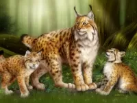 Bulmaca Lynx with kittens