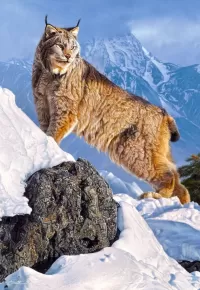 Jigsaw Puzzle Lynx in the mountains