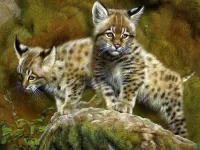 Jigsaw Puzzle Lynx kittens