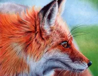 Jigsaw Puzzle Red fox