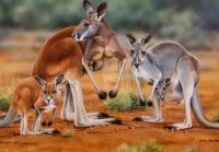 Слагалица Ginger kangaroo