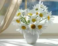 Puzzle Daisies in the window