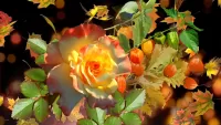 Jigsaw Puzzle Rose and physalis