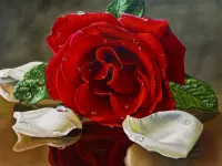 Слагалица Rose and petals