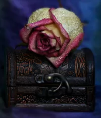 Puzzle Rose and chest