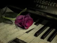 Пазл Роза на клавишах