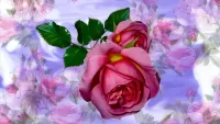 Пазл Роза среди роз