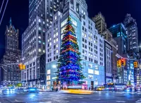 Rompecabezas Christmas in New York