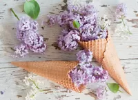 Jigsaw Puzzle Lilac Cone