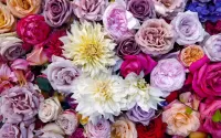 Jigsaw Puzzle Roses and dahlias