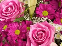 Zagadka Roses and chrysanthemums