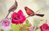 パズル Roses and cardinals