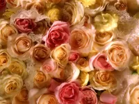 Jigsaw Puzzle Roses and lace