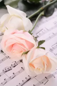 Jigsaw Puzzle Roses and music notes