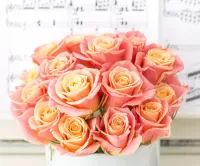 Bulmaca Roses and music notes
