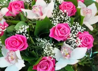 Bulmaca Roses and orchids